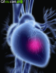 心脏跳动的gif动态图片_心脏动态图(6)(点击浏览下一张趣图)