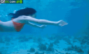 比基尼美女潜水动态图片(点击浏览下一张趣图)