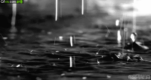 动态雨滴图片(2)(点击浏览下一张趣图)
