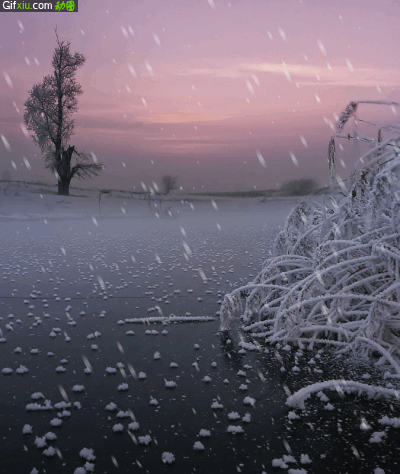 冬天湖面下雪的gif动态图片(点击浏览下一张趣图)