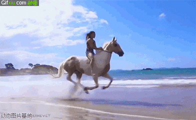 美女海边骑马动态图片(点击浏览下一张趣图)