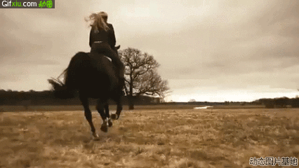美女草原骑马动态图片(点击浏览下一张趣图)