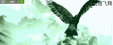 雄鹰展翅动态图片(点击浏览下一张趣图)