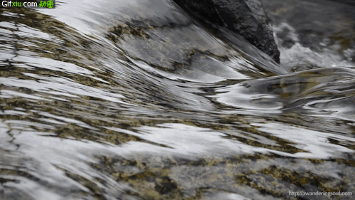 小溪流水动态图片(点击浏览下一张趣图)