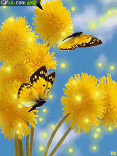 蝴蝶在花丛中飞舞的动态图片(点击浏览下一张趣图)