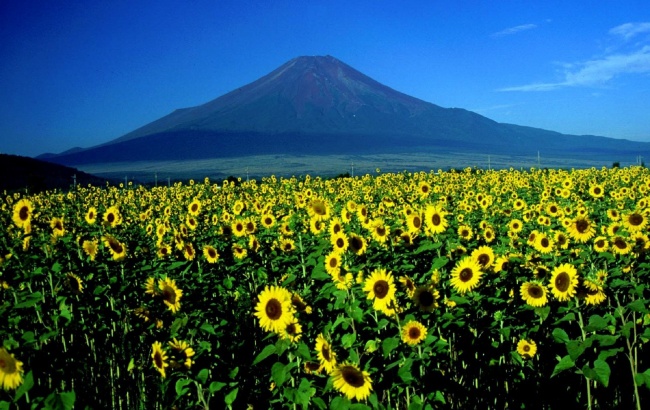 富士山下图片(点击浏览下一张趣图)