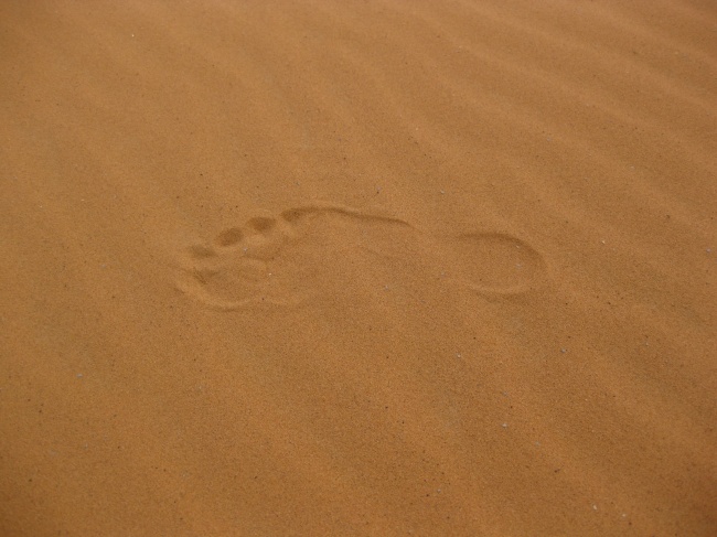 沙漠脚印图片(点击浏览下一张趣图)
