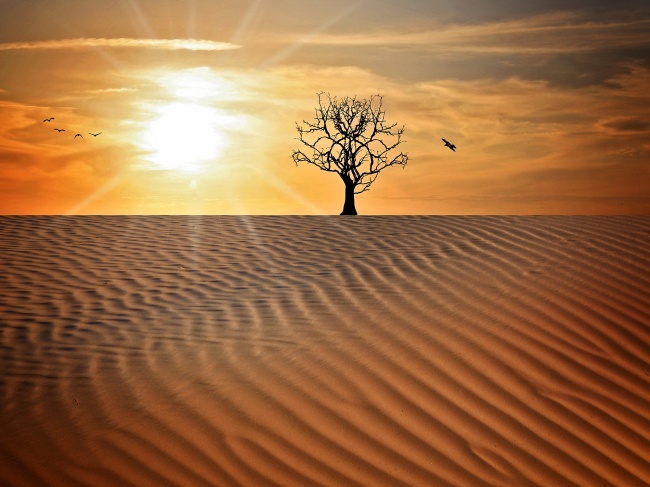 唯美沙漠图片(点击浏览下一张趣图)