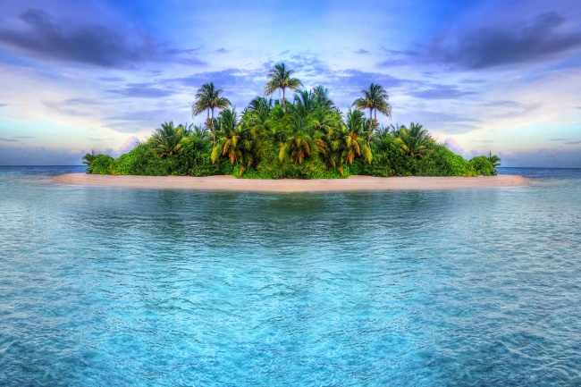 海岛椰子树图片(点击浏览下一张趣图)