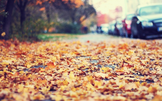 秋天凄美的图片(点击浏览下一张趣图)