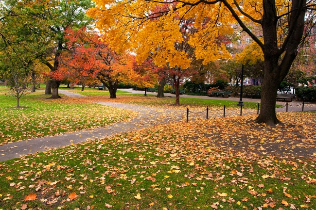秋天大自然风景图片(点击浏览下一张趣图)