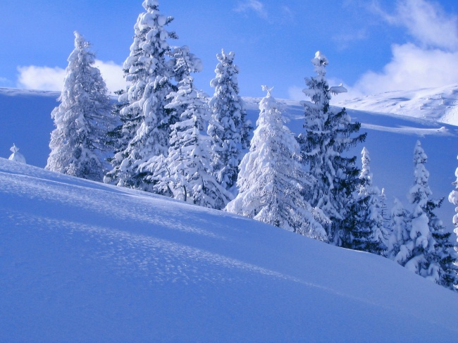 东北雪景图片(点击浏览下一张趣图)