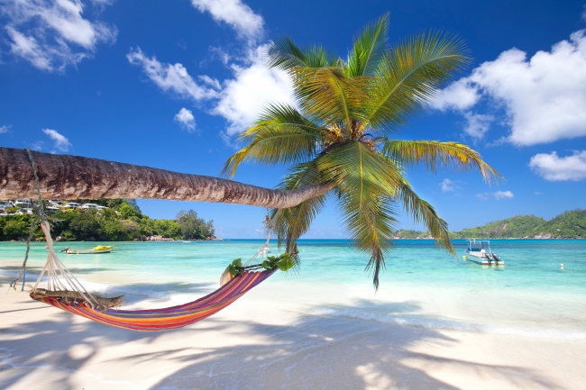 海边椰子树吊床图片(点击浏览下一张趣图)