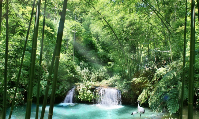 竹林山水风景图片(点击浏览下一张趣图)