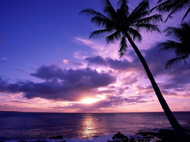 紫色黄昏海边图片(点击浏览下一张趣图)