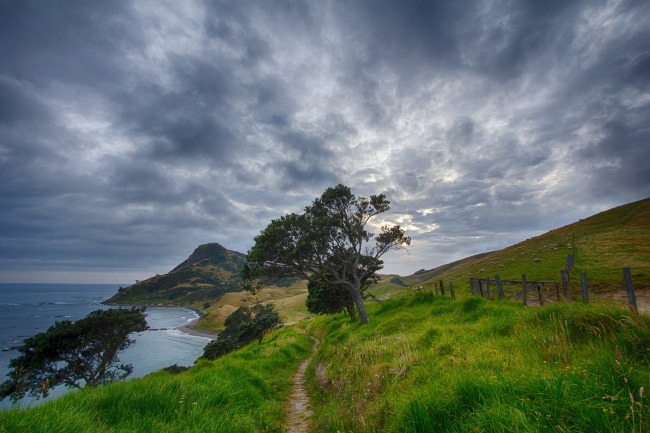 新西兰旅游图片(点击浏览下一张趣图)