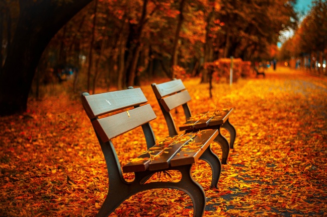 秋天公园风景图片(点击浏览下一张趣图)
