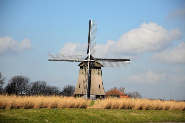 草地荷兰风车图片(点击浏览下一张趣图)