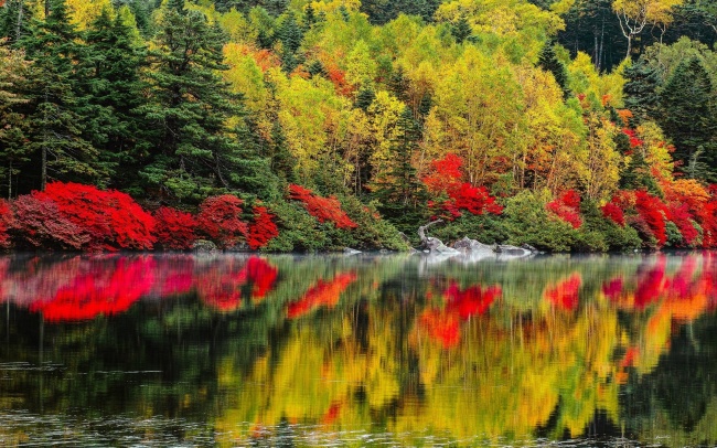 秋天树林湖泊风景图片(点击浏览下一张趣图)