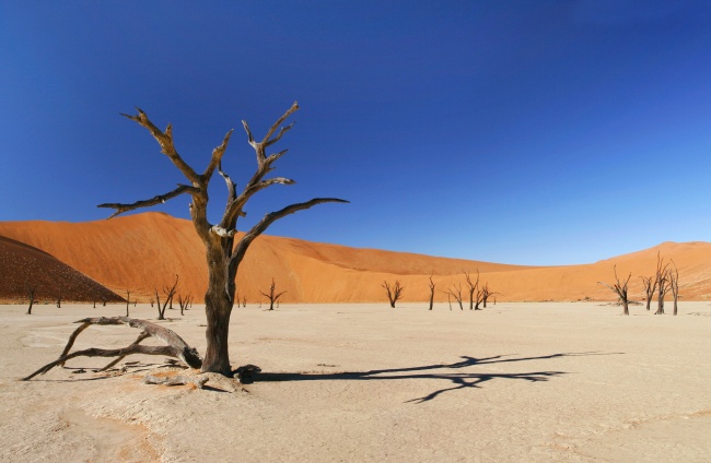 萧条沙漠图片(点击浏览下一张趣图)