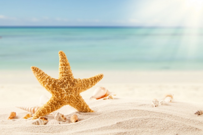 海边阳光沙滩海星图片(点击浏览下一张趣图)