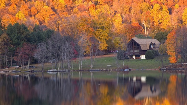 金色秋天风景图片(点击浏览下一张趣图)