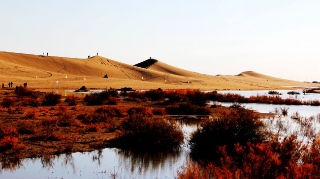 内蒙古八道桥沙漠图片(点击浏览下一张趣图)