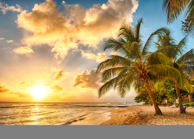 海边日出椰子树图片(点击浏览下一张趣图)
