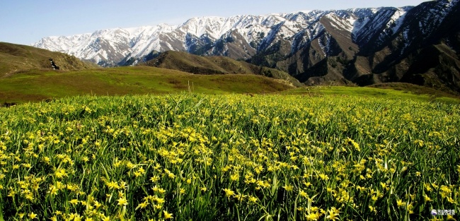 新疆额敏县风景图片(点击浏览下一张趣图)