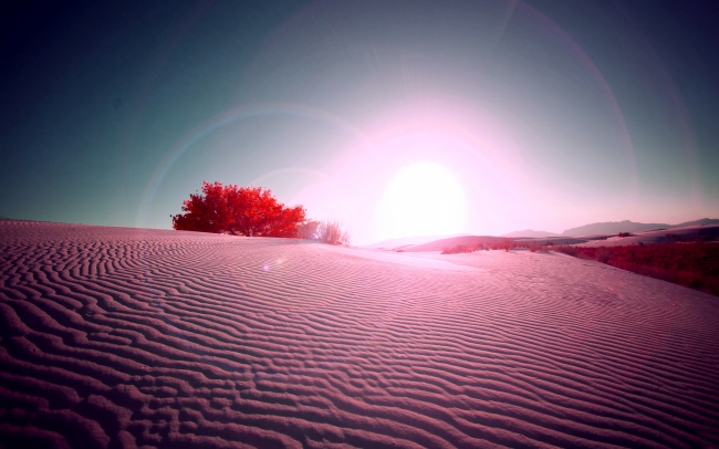 红色沙漠唯美风景图片(点击浏览下一张趣图)