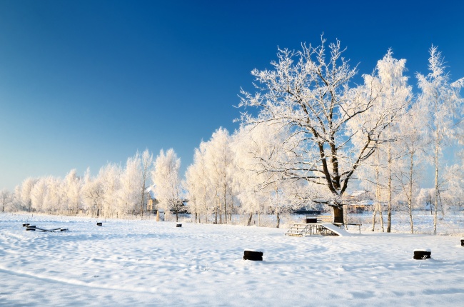 冬季萧条风景图片(点击浏览下一张趣图)