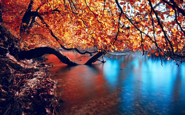 秋季森林溪水风景图片(点击浏览下一张趣图)
