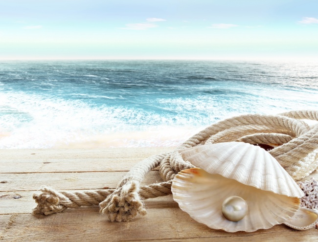 海边木甲板上的珍珠贝壳图片(点击浏览下一张趣图)
