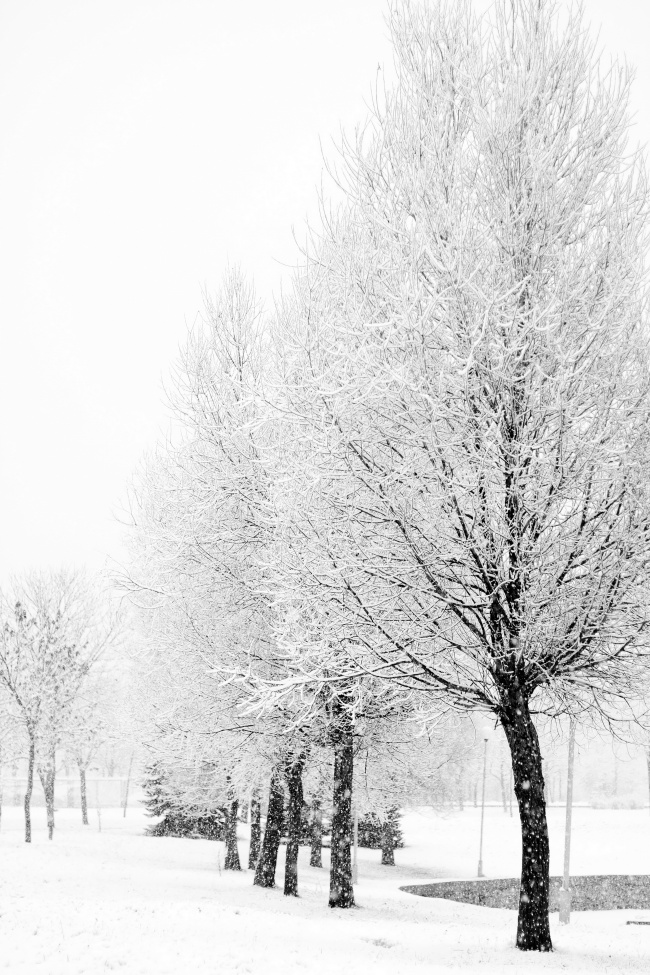 冬天下雪风景图片(点击浏览下一张趣图)