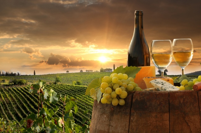 法国葡萄酒庄园图片(点击浏览下一张趣图)