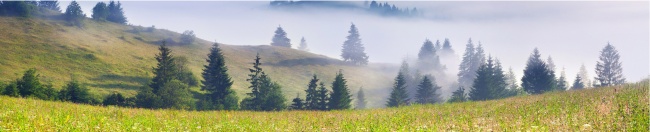 山野树林云雾缭绕图片(点击浏览下一张趣图)