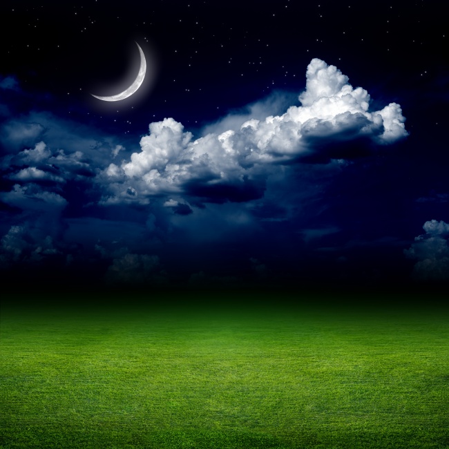 夜晚星星月亮草地图片(点击浏览下一张趣图)