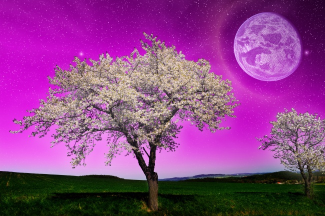 紫色天空圆月夜景图片(点击浏览下一张趣图)