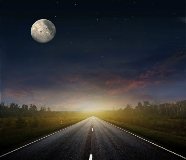 月亮与在公路旁的树木图片(点击浏览下一张趣图)