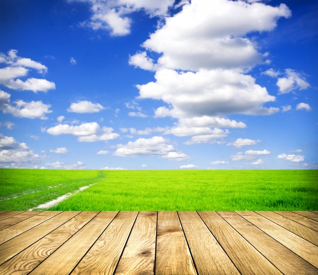 草地蓝天白云图片(点击浏览下一张趣图)