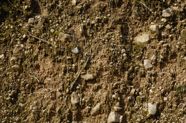 土壤泥土图片(点击浏览下一张趣图)