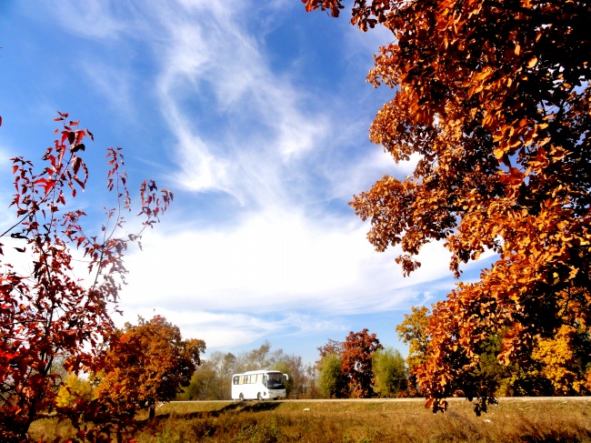 郊外秋天风景图片(点击浏览下一张趣图)