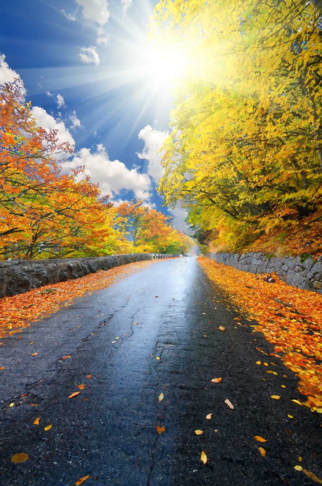 秋季风景小路高清图片(点击浏览下一张趣图)
