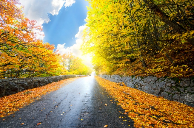 自然秋天旳风景图片(点击浏览下一张趣图)