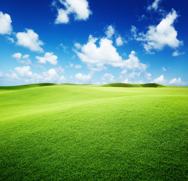 绿色大草原风景图片(点击浏览下一张趣图)