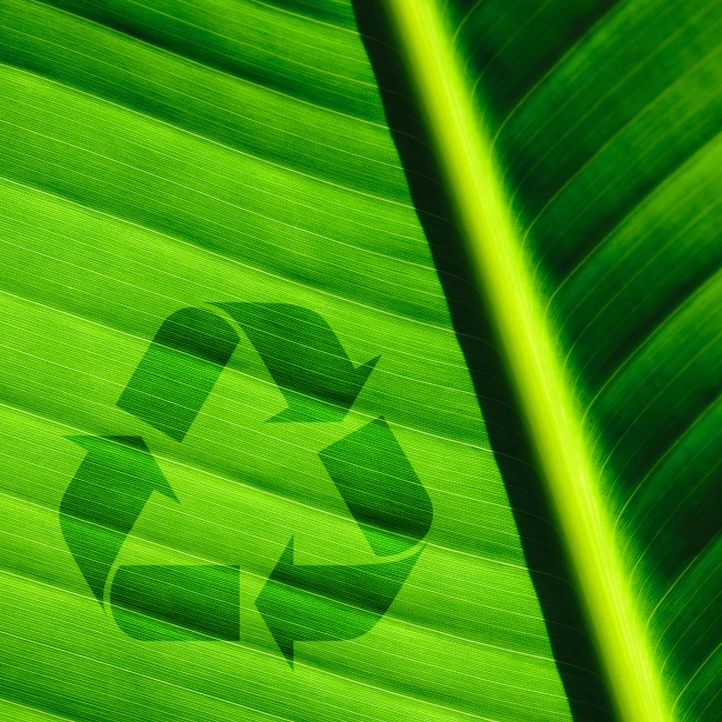 绿色回收标志图片(点击浏览下一张趣图)