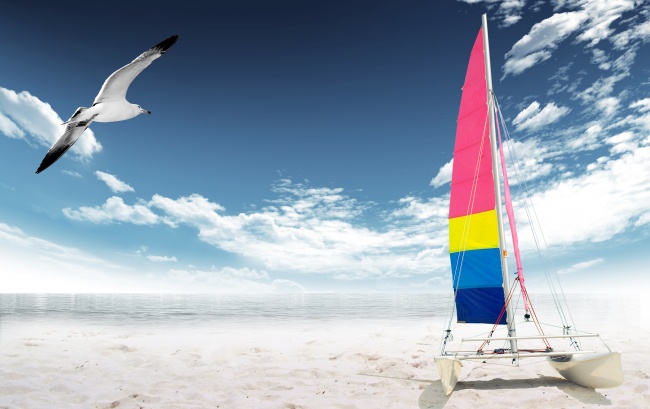 海边帆船海鸥图片(点击浏览下一张趣图)