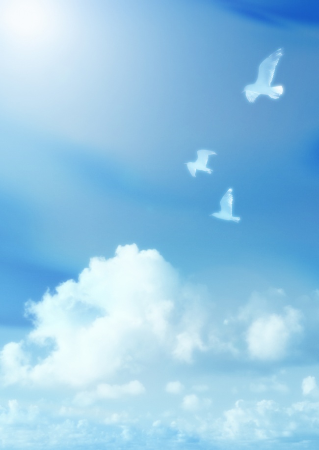 阳光白云鸽子图片(点击浏览下一张趣图)