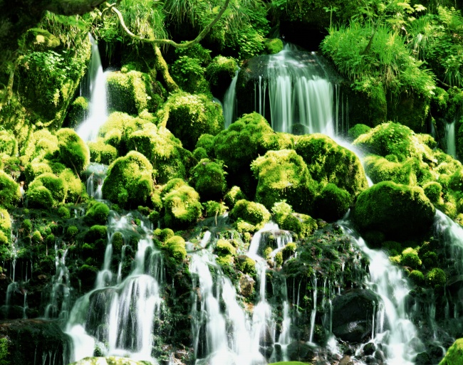 森林的瀑布图片(点击浏览下一张趣图)