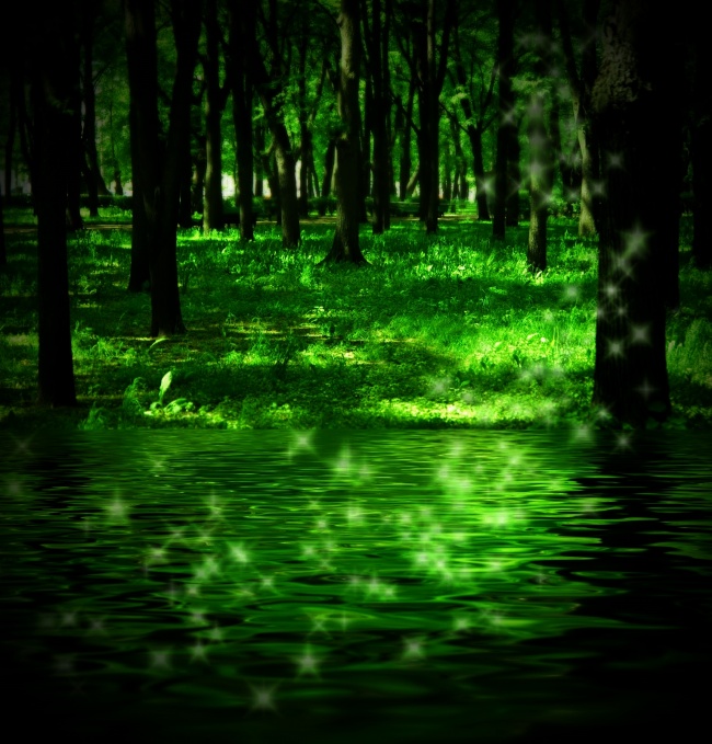 清新绿色树林图片(点击浏览下一张趣图)